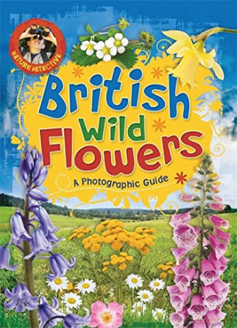 British Wild Flowers - Victoria Munson [KSIĄŻKA]