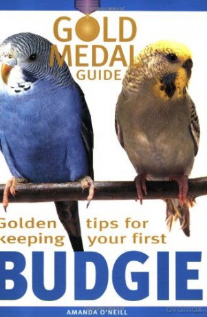 Budgie (Gold Medal Guide) - Everything you need to know to keep a healthy, happy budgerigar (Gold Medal Guide S.) - Amanda O'Neill [KSIĄŻKA]