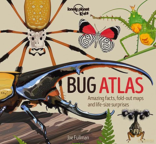 Bug Atlas: 1 (Creature Atlas) - Lonely Planet Kids [KSIĄŻKA]