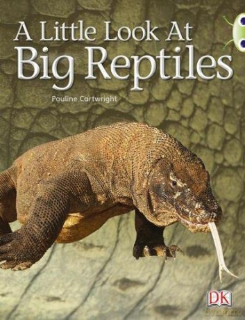 Bug Club Guided Non Fiction Year 1 Blue B A Little Look at Big Reptiles - Pauline Cartwright [KSIĄŻKA]