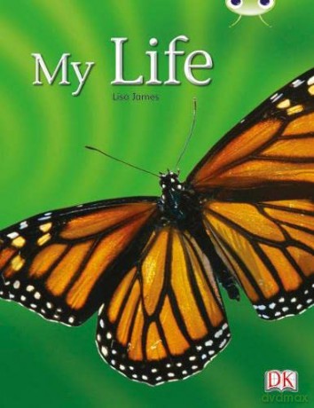 Bug Club Guided Non Fiction Year 1 Yellow C My Life - Lisa James [KSIĄŻKA]