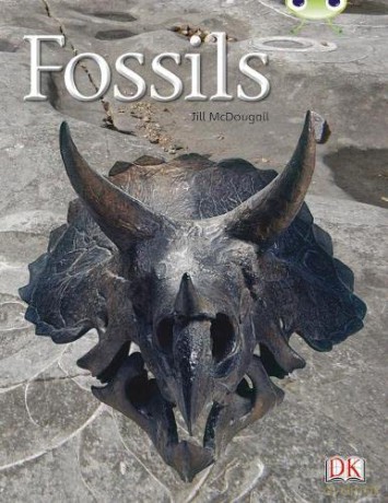 Bug Club Guided Non Fiction Year Two Gold A Fossils - Jill McDougall [KSIĄŻKA]