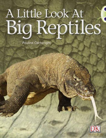 Bug Club Non-fiction Blue (KS1) B/1B A Little Look of Reptiles 6-pack - Pauline Cartwright [KSIĄŻKA]