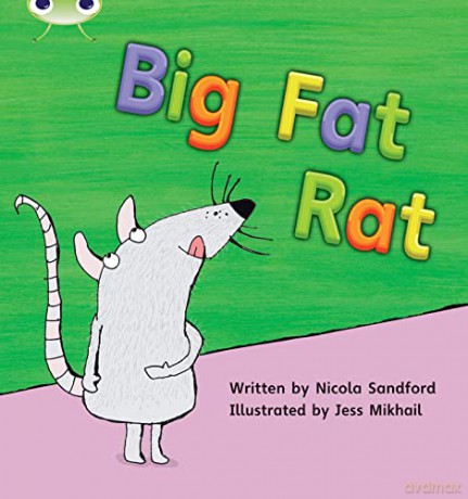 Bug Club Phonics Fiction Reception Phase 2 Set 05 Big Fat Rat - Nicola Sandford [KSIĄŻKA]