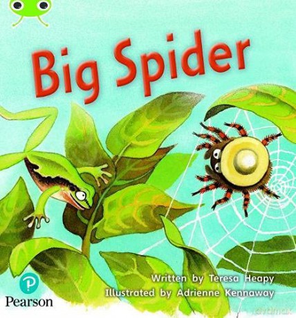 Bug Club Phonics Fiction Year 1 Phase 5 Unit 27 Big Spider (Phonics Bug) - Teresa Heapy [KSIĄŻKA]