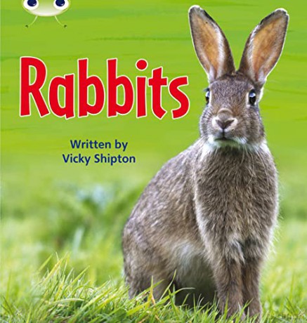 Bug Club Phonics Non Fiction Year Two Phase 5 Set 27 Rabbits - Vicky Shipton [KSIĄŻKA]