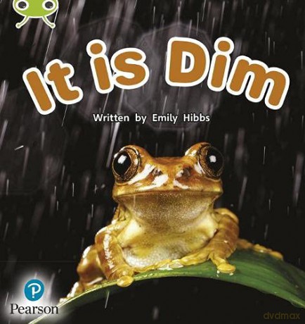 Bug Club Phonics Non-Fiction Early Years and Reception Phase 2 Unit 2 It is Dim (Phonics Bug) - Emily Hibbs [KSIĄŻKA]