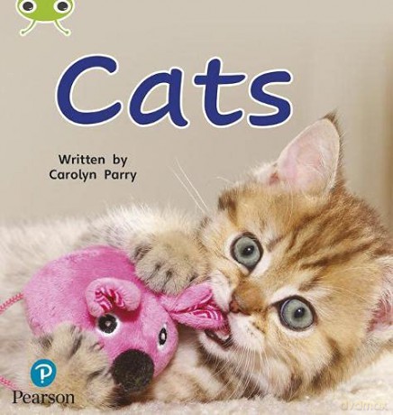 Bug Club Phonics Non-Fiction Early Years and Reception Phase 2 Unit 3 Cats (Phonics Bug) - Carolyn Parry [KSIĄŻKA]