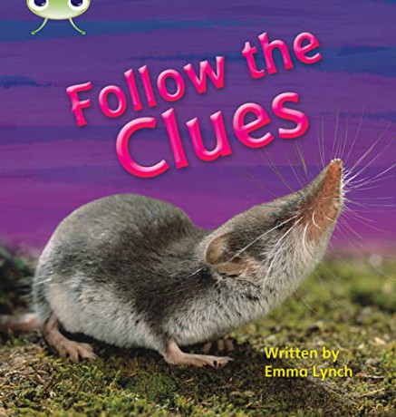 Bug Club Phonics Non-fiction Set 18 Follow the Clues - Emma Lynch [KSIĄŻKA]