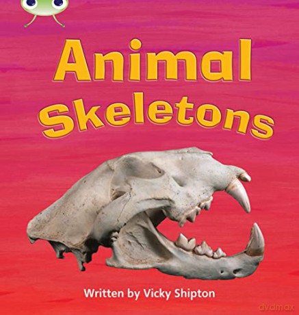 Bug Club Phonics Non-Fiction Year 1 Phase 5 Set 17 Animal Skeletons - Paul Shipton [KSIĄŻKA]