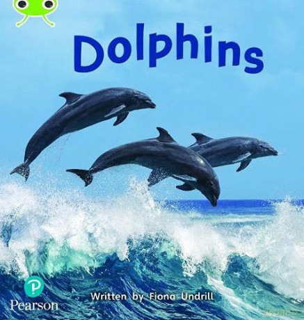 Bug Club Phonics Non-Fiction Year 1 Phase 5 Unit 13 Dolphins - Fiona Undrill [KSIĄŻKA]