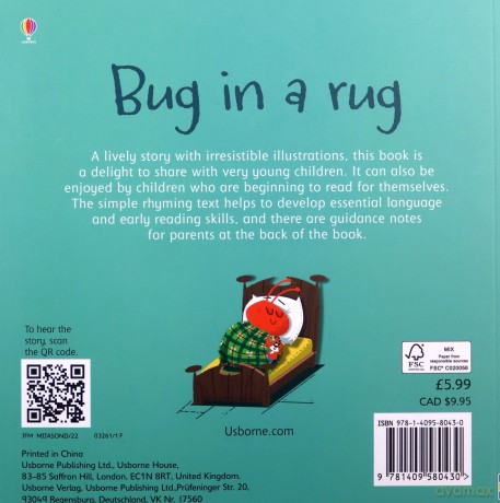 Bug in a Rug (Phonics Readers) - Russell Punter [KSIĄŻKA]