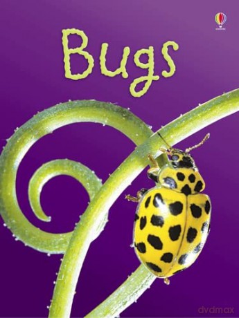 Bugs (Usborne Beginners) - Lucy Bowman [KSIĄŻKA]