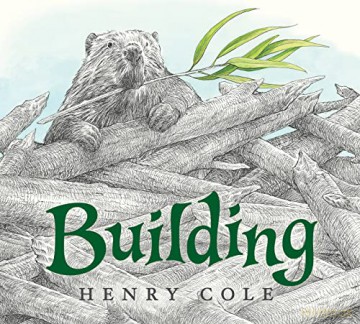 Building - Henry Cole [KSIĄŻKA]