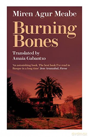 Burning Bones - Miren Agur Meabe [KSIĄŻKA]