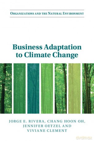 Business Adaptation to Climate Change (Organizations and the Natural Environment) - Jorge E. Rivera [KSIĄŻKA]
