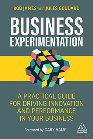 Business Experimentation: A Practical Guide for Driving Innovation and Performance in Your Business - Rob James [KSIĄŻKA]