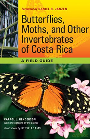 Butterflies, Moths, and Other Invertebrates of Costa Rica: A Field Guide (The Corrie Herring Hooks Series) - Carrol L. Henderson [KSIĄŻKA]