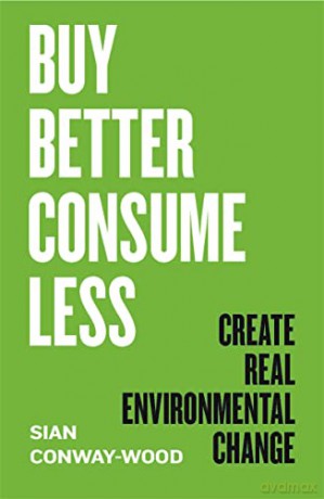 Buy Better, Consume Less: Create Real Environmental Change - Sian Conway-Wood [KSIĄŻKA]