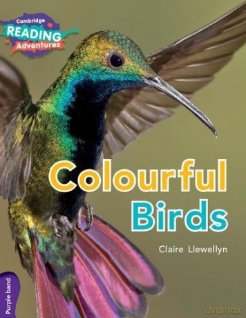 Cambridge Reading Adventures Colourful Birds Purple Band - Claire Llewellyn [KSIĄŻKA]