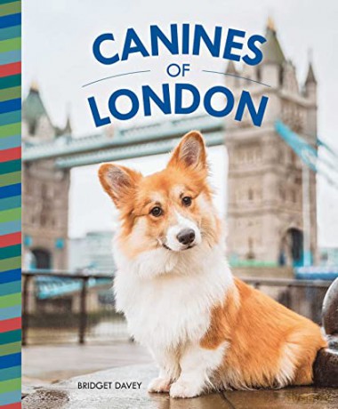 Canines of London - Bridget Davey [KSIĄŻKA]