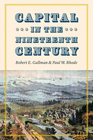 Capital in the Nineteenth Century (National Bureau of Economic Research Series on Long-Term Factors in Economic Development) - Claudia Goldin [KSIĄŻKA]