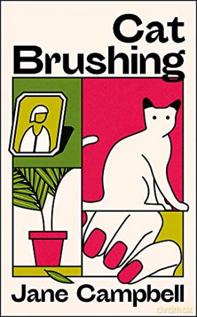 Cat Brushing: a dazzling short story collection about thirteen older women - Jane Campbell [KSIĄŻKA]