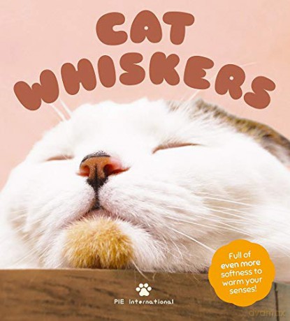 Cat Whiskers - Pie International [KSIĄŻKA]
