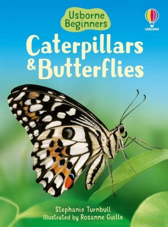 Caterpillars and Butterflies (Beginners) - Stephanie Turnbull [KSIĄŻKA]