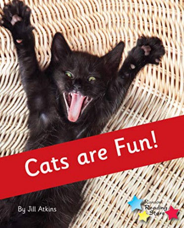 Cats are Fun!: Phonics Phase 4 (Reading Stars Phonics) - Jill Atkins [KSIĄŻKA]