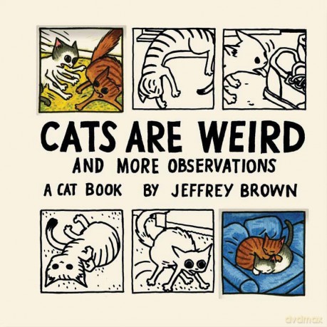 Cats Are Weird: and More Observations - Jeffrey Brown [KSIĄŻKA]