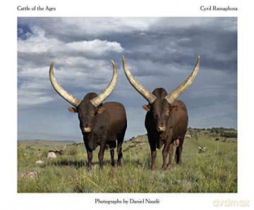 Cattle of the Ages: Ankole cattle in South Africa - Daniel Naude [KSIĄŻKA]
