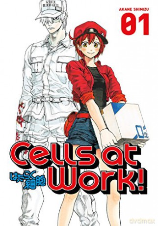 Cells at Work! 1 - Akane Shimizu [KSIĄŻKA]