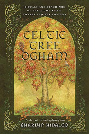 Celtic Tree Ogham: Rituals and Teachings of the Aicme Ailim Vowels and the Forfeda - Sharlyn Hidalgo [KSIĄŻKA]
