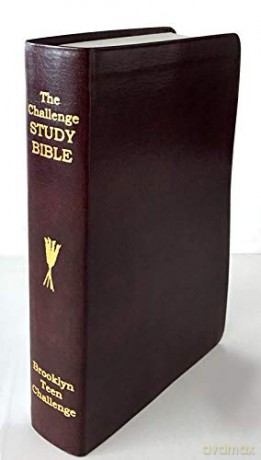 CEV Challenge Study Bible-Flexi Cover - Don Wilkerson [KSIĄŻKA]