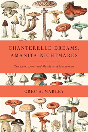 Chanterelle Dreams, Amanita Nightmares: The Love, Lore and Mystique of Mushrooms - Greg Marley [KSIĄŻKA]