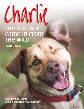Charlie: The dog who came in from the wild - Lisa Tenzin-Dolma [KSIĄŻKA]