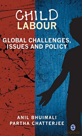 Child Labour: Global Challenges, Issues and Policy - Partha Chatterjee [KSIĄŻKA]