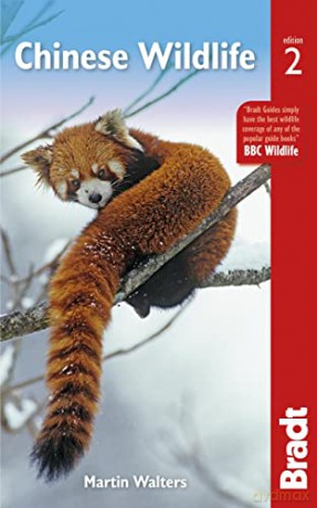 Chinese Wildlife (Bradt Travel Guides (Wildlife Guides)): A Visitor's Guide - Martin Walters [KSIĄŻKA]