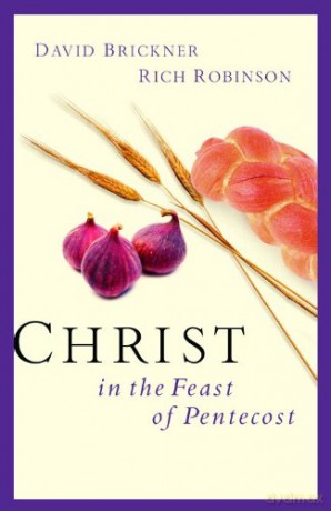 Christ in the Feast of Pentecost - David Brickner [KSIĄŻKA]