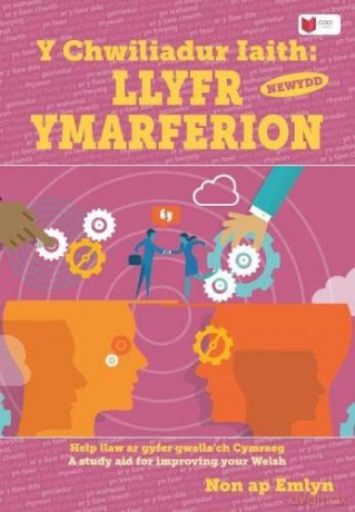 Chwiliadur Iaith Newydd, Y: Llyfr Ymarferion - Non ap Emlyn [KSIĄŻKA]