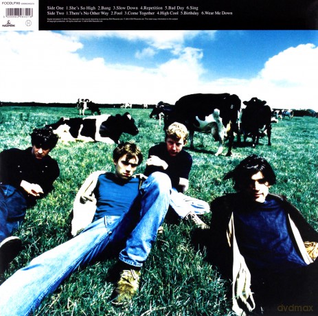 Blur: Leisure (Special Limited Edition) [Winyl]