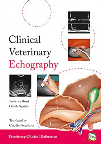 Clinical Veterinary Echography - Giliola Spattini [KSIĄŻKA]