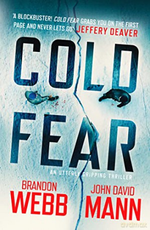 Cold Fear: 2 (The Finn Thrillers) - Brandon Webb [KSIĄŻKA]