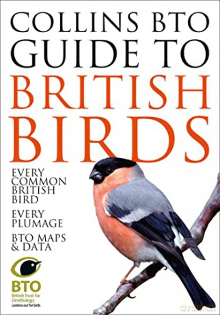 Collins BTO Guide to British Birds - Paul Sterry [KSIĄŻKA]
