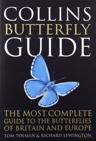 Collins Butterfly Guide: The Most Complete Guide to the Butterflies of Britain and Europe - Tom Tolman [KSIĄŻKA]