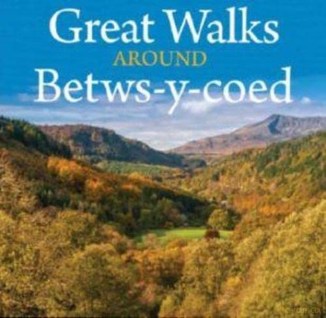 Compact Wales: Great Walks Around Betws-y-Coed (43636) [KSIĄŻKA]