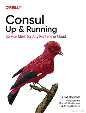Consul: Up and Running: Service Mesh for Any Runtime or Cloud - Luke Kysow [KSIĄŻKA]