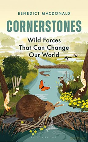 Cornerstones: Wild forces that can change our world - Benedict Macdonald [KSIĄŻKA]
