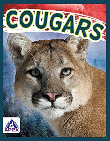 Cougars (Wild Cats) - Sophie Geister-Jones [KSIĄŻKA]